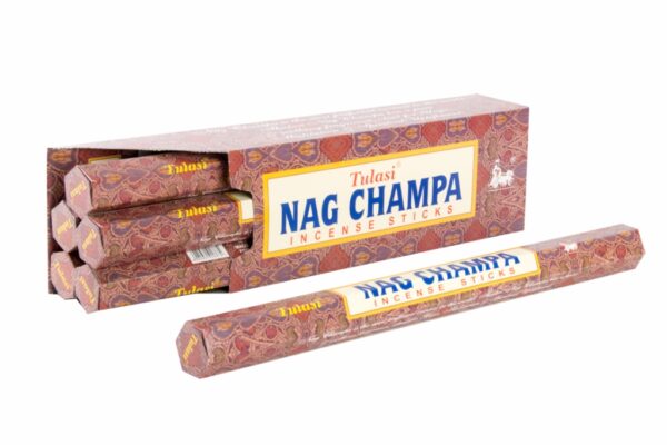 INCIENSO VARILLA SET 10 AROMA NAG CHAMPA 42X5X5 42 CM