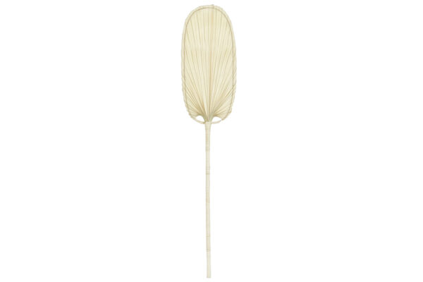HOJA FIBRA NATURAL BALI 125 CMS